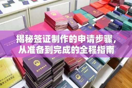 丰县揭秘签证制作的申请步骤，从准备到完成的全程指南